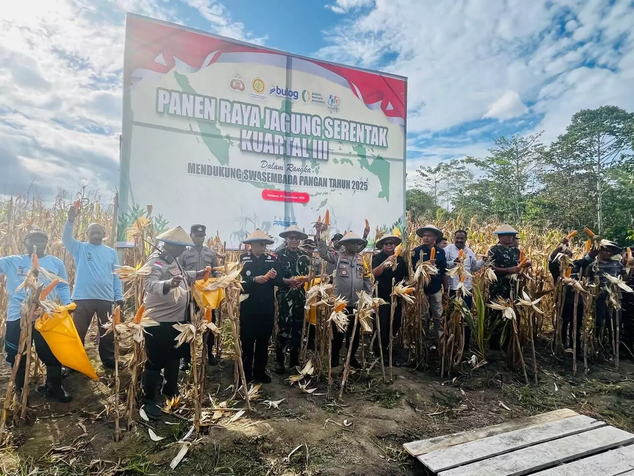 Polda Papua Panen Raya Jagung Kuartal III di Kampung Aib Kemtuk, Jayapura