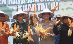 Panen raya jagung serentak, Polres Tegal dukung petani dan ketahanan pangan Nasional