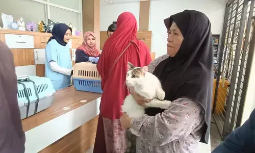 World Rabies Day, ratusan kucing divaksinasi dan jalani kastrasi World Rabies Day, ratusan kucing divaksinasi dan jalani kastrasi