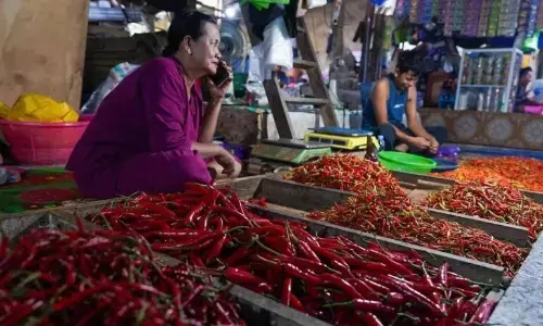 Harga beras medium turun jadi Rp13.565 /kg, cabai rawit Rp46.153/kg