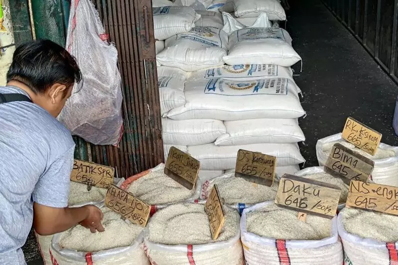 Harga beras medium turun jadi Rp13.583/kg, cabai rawit Rp45.705/kg