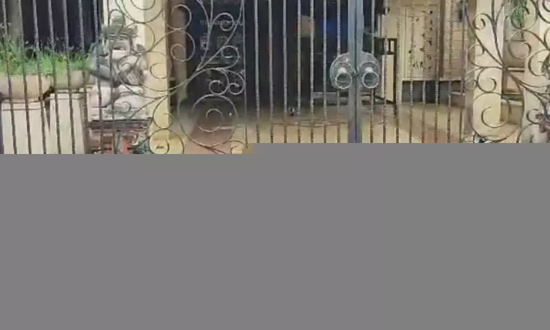 BKSDA DKI turun tangan cek burung merak viral di Duren Sawit