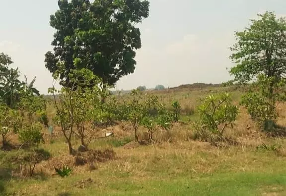 Normalisasi Sungai Wulan, warga Dukuh Karangturi Setrokalangan, Kudus Bedhol Makam