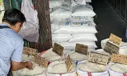 Harga beras medium turun jadi Rp13.583/kg, cabai rawit Rp45.705/kg