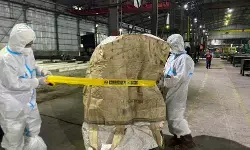 Alarm untuk industri dan lingkungan dari kontaminasi cesium-137 di Serang Alarm untuk industri dan lingkungan dari kontaminasi cesium-137 di Serang