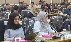 Kemen HAM: Kesimpulan awal kematian Arya Daru tidak seharusnya final