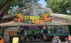 Pemkot tegaskan kewajiban kontribusi PAD dari Bandung Zoo Pemkot tegaskan kewajiban kontribusi PAD dari Bandung Zoo