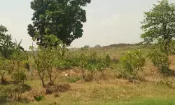 Normalisasi Sungai Wulan, warga Dukuh Karangturi Setrokalangan, Kudus Bedhol Makam