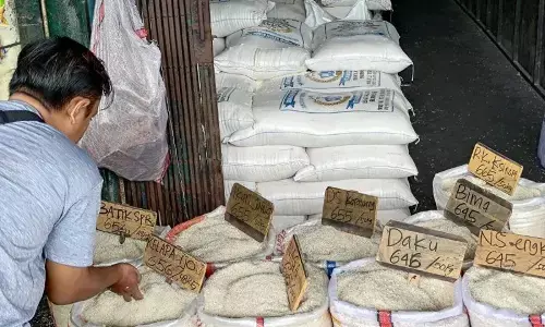 Harga beras medium turun jadi Rp13.583/kg, cabai rawit Rp45.705/kg Harga beras medium turun jadi Rp13.583/kg, cabai rawit Rp45.705/kg