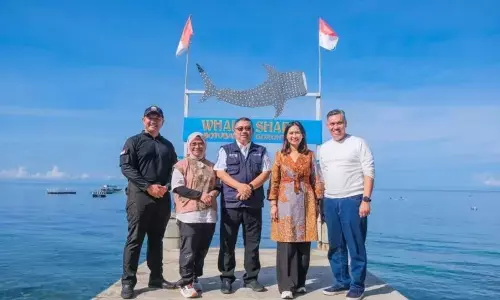 Wamenpar minta semua pihak jaga kelestarian hiu paus Gorontalo Wamenpar minta semua pihak jaga kelestarian hiu paus Gorontalo
