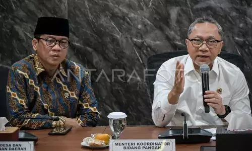 Menko Zulhas: Tak perlu semua masalah dibawa ke Presiden Menko Zulhas: Tak perlu semua masalah dibawa ke Presiden