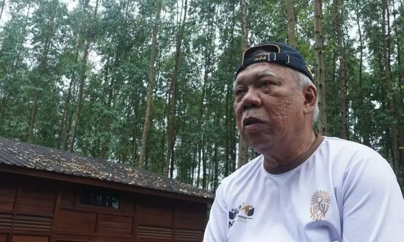 Otorita IKN programkan tanam pohon dua pekan sekali hijaukan ibu kota