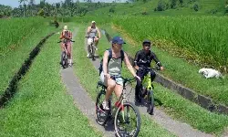 Ahli: Senam aerobik teratur baik untuk jaga kesehatan jantung