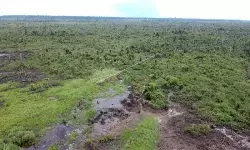 Kemenhut amankan pelaku perdagangan lahan di Tahura OKH Jambi Kemenhut amankan pelaku perdagangan lahan di Tahura OKH Jambi