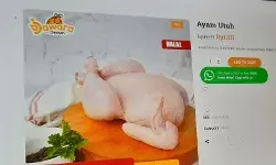 Inflasi tahunan Jakarta pada September 2025 lebih terkendali Inflasi tahunan Jakarta pada September 2025 lebih terkendali