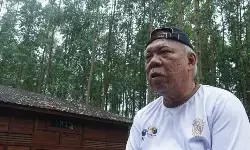 Otorita IKN programkan tanam pohon dua pekan sekali hijaukan ibu kota Otorita IKN programkan tanam pohon dua pekan sekali hijaukan ibu kota