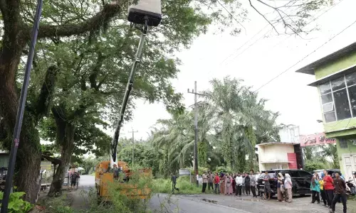 Minta Pemkab Langkat remajakan pohon, Ricky: Jangan sampai ada korban lagi Minta Pemkab Langkat remajakan pohon, Ricky: Jangan sampai ada korban lagi