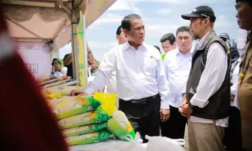 Menteri Pertanian targetkan Kaltara jadi sentra pangan dan pusat ekspor Menteri Pertanian targetkan Kaltara jadi sentra pangan dan pusat ekspor