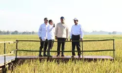 Mentan optimistis Indonesia segera wujudkan swasembada beras