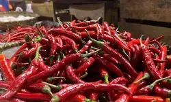 Bapanas: Harga cabai rawit Rp45.002/kg, bawang merah Rp37.308 /kg