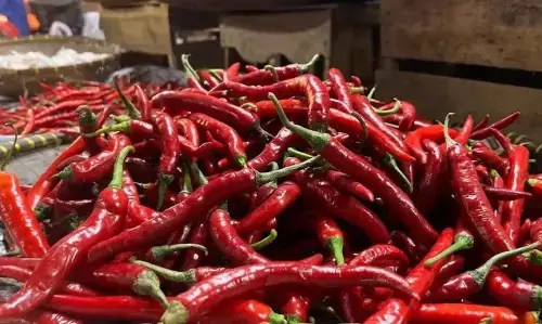 Bapanas: Harga cabai rawit Rp45.002/kg, bawang merah Rp37.308 /kg Bapanas: Harga cabai rawit Rp45.002/kg, bawang merah Rp37.308 /kg