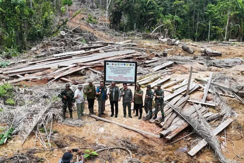 Kemenhut dan Satgas PKH hentikan pembalakan liar di Kepulauan Mentawai