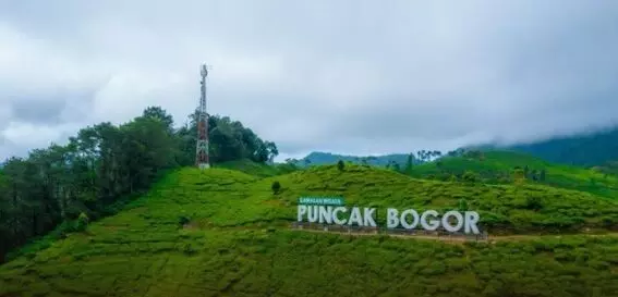 Ribuan pekerja di kawasan wisata Puncak terancam dirumahkan, AMBS akan lapor ke Presiden