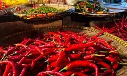 Bapanas: Harga cabai rawit Rp45.558/kg, bawang merah Rp38.036/kg