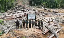 Kemenhut dan Satgas PKH hentikan pembalakan liar di Kepulauan Mentawai