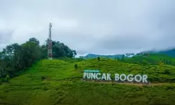 Ribuan pekerja di kawasan wisata Puncak terancam dirumahkan, AMBS akan lapor ke Presiden Ribuan pekerja di kawasan wisata Puncak terancam dirumahkan, AMBS akan lapor ke Presiden