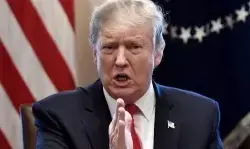 Trump umumkan pertarungan UFC akan digelar di halaman Gedung Putih