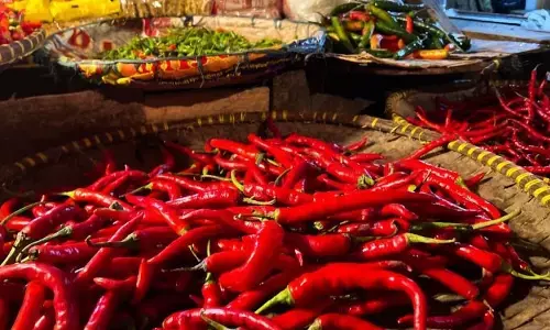 Bapanas: Harga cabai rawit Rp45.558/kg, bawang merah Rp38.036/kg
