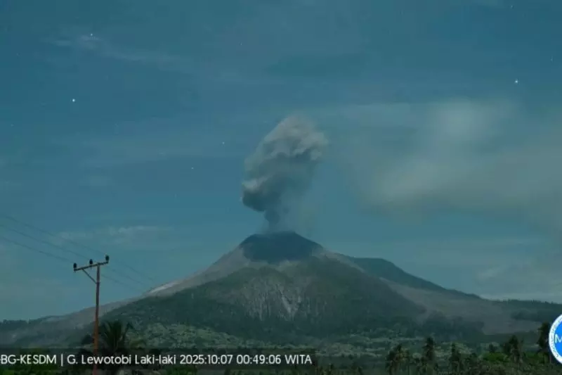 Gunung Lewotobi lontarkan abu setinggi 2000 meter pada Selasa dinihari