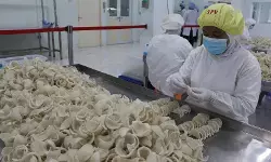 Barantin respon isu keamanan pangan perdagangan sarang burung walet ke China