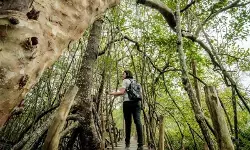 Kemenpar publikasikan kajian penguatan implementasi pariwisata hijau