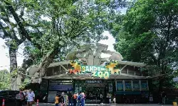 Pemkot tutup Bandung Zoo untuk benahi pengelolaan aset