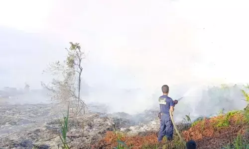 BPBD: Kebakaran lahan di Aceh Barat meluas jadi 1,1 hektare BPBD: Kebakaran lahan di Aceh Barat meluas jadi 1,1 hektare