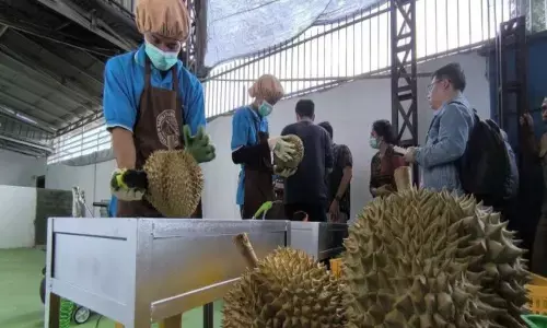 Kadin Parimo: Sinergi regulasi penting bagi investasi daerah Kadin Parimo: Sinergi regulasi penting bagi investasi daerah