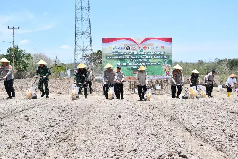 Polda NTT tanam jagung di 1.111 ha dukung lumbung pangan nasional Polda NTT tanam jagung di 1.111 ha dukung lumbung pangan nasional