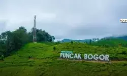 Pakar nilai kawasan Puncak miliki potensi pengembangan ekowisata