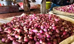 Bapanas: Harga cabai rawit Rp45.031/kg, bawang merah Rp38.100/kg
