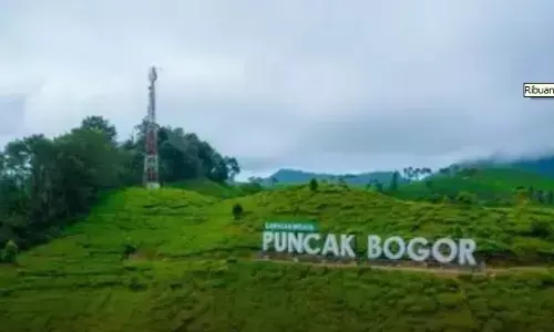 Pakar nilai kawasan Puncak miliki potensi pengembangan ekowisata Pakar nilai kawasan Puncak miliki potensi pengembangan ekowisata