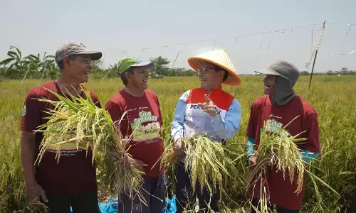 Pertagas lakukan panen raya di Sidoarjo, dukung swasembada pangan Nasional Pertagas lakukan panen raya di Sidoarjo, dukung swasembada pangan Nasional