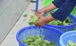 Limbah MBG disulap jadi ekonomi hijau di Lumajang