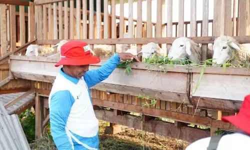 Living Lab berbasis masyarakat jadi solusi hadapi perubahan iklim Living Lab berbasis masyarakat jadi solusi hadapi perubahan iklim