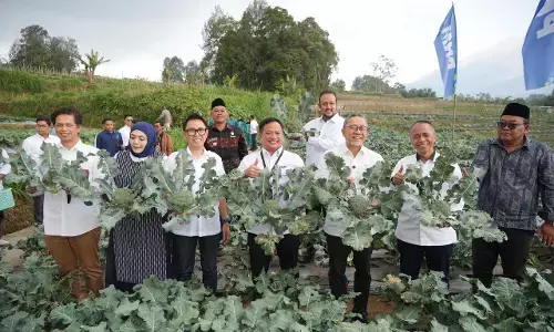Menko Pangan RI panen brokoli dan tinjau program ayam petelur di rumah pangan PNM