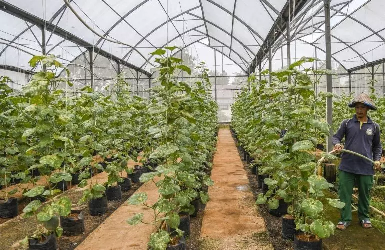 Pemkot Jaktim gencarkan penghijauan Pemkot Jaktim gencarkan penghijauan
