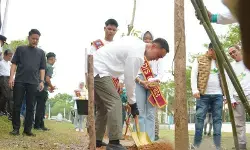 Pemkab tanam 300 Pohon Tabebuya bangun OKI berkelanjutan