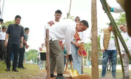 Pemkab tanam 300 Pohon Tabebuya bangun OKI berkelanjutan Pemkab tanam 300 Pohon Tabebuya bangun OKI berkelanjutan