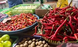 Pemkot Yogyakarta gencarkan pengawasan pangan segar aman konsumsi Pemkot Yogyakarta gencarkan pengawasan pangan segar aman konsumsi